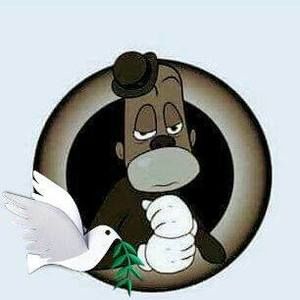 Meet your Posher, Odie